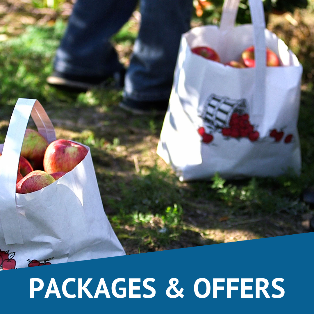 Packages & Offers