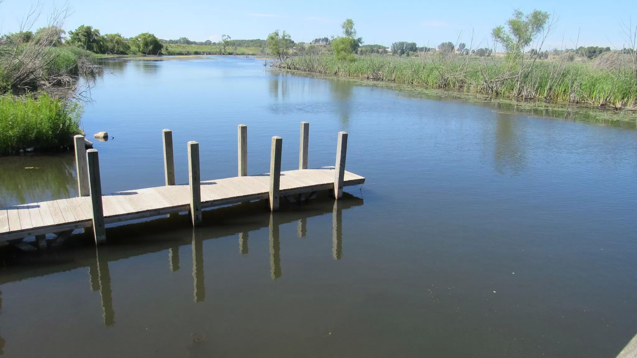 Suttons Landing Pure Ludington